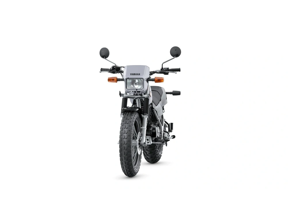 2026 Yamaha TW200 TW200 Gallant Gray alt