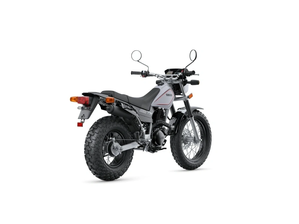 2026 Yamaha TW200 TW200 Gallant Gray alt