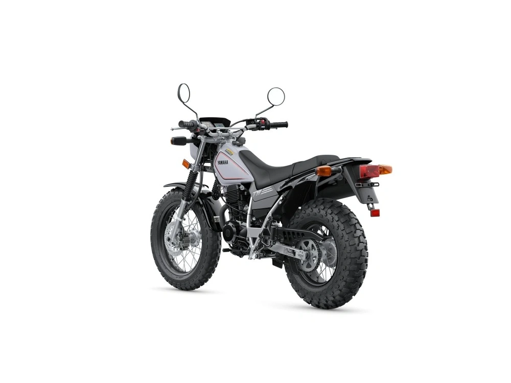 2026 Yamaha TW200 TW200 Gallant Gray alt
