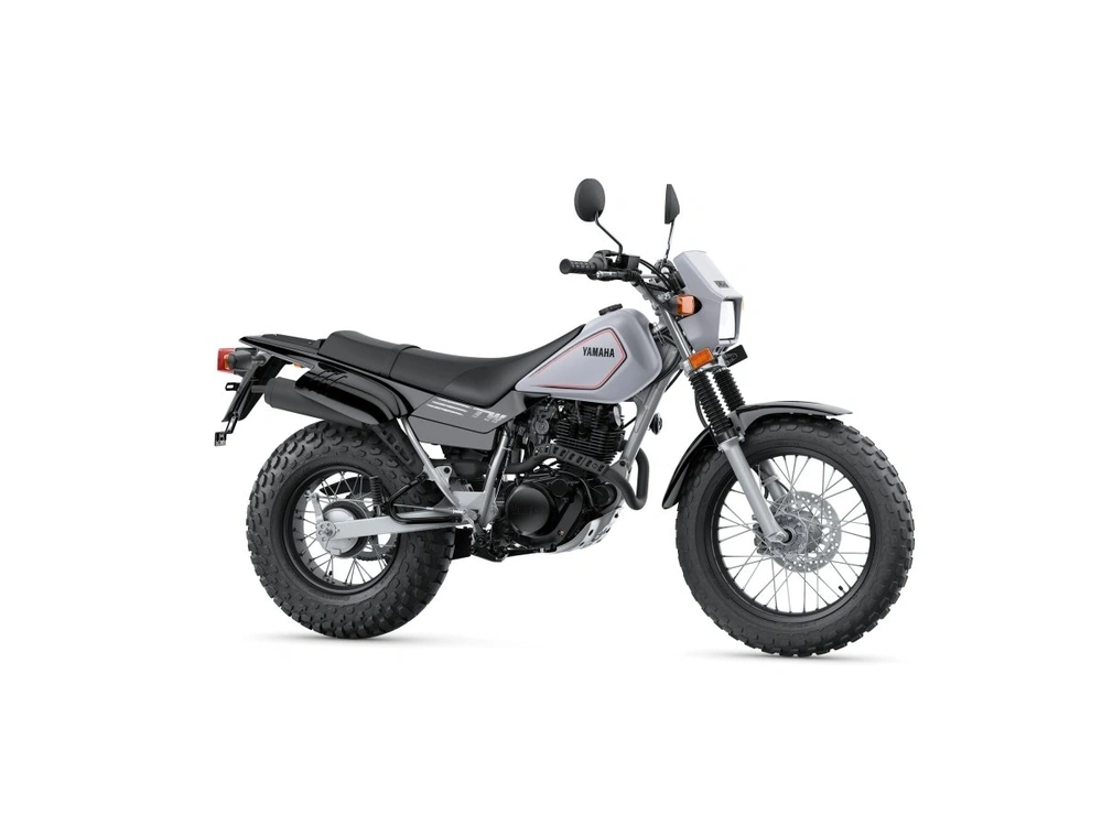 2026 Yamaha TW200 TW200 Gallant Gray alt