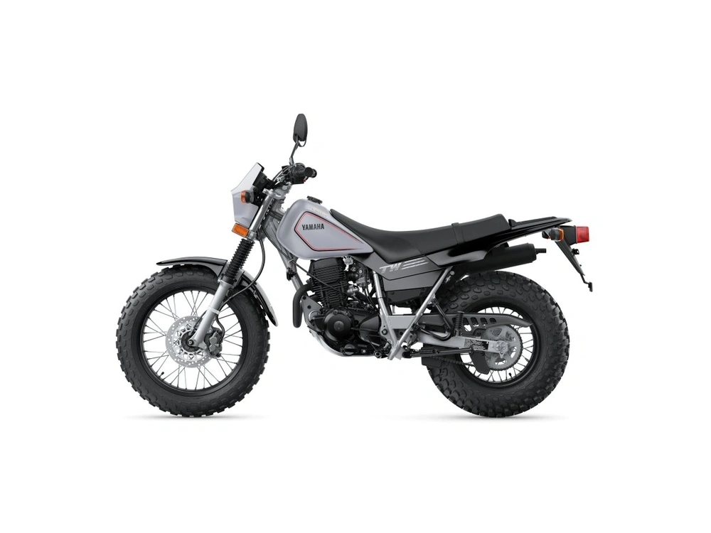 2026 Yamaha TW200 TW200 Gallant Gray alt