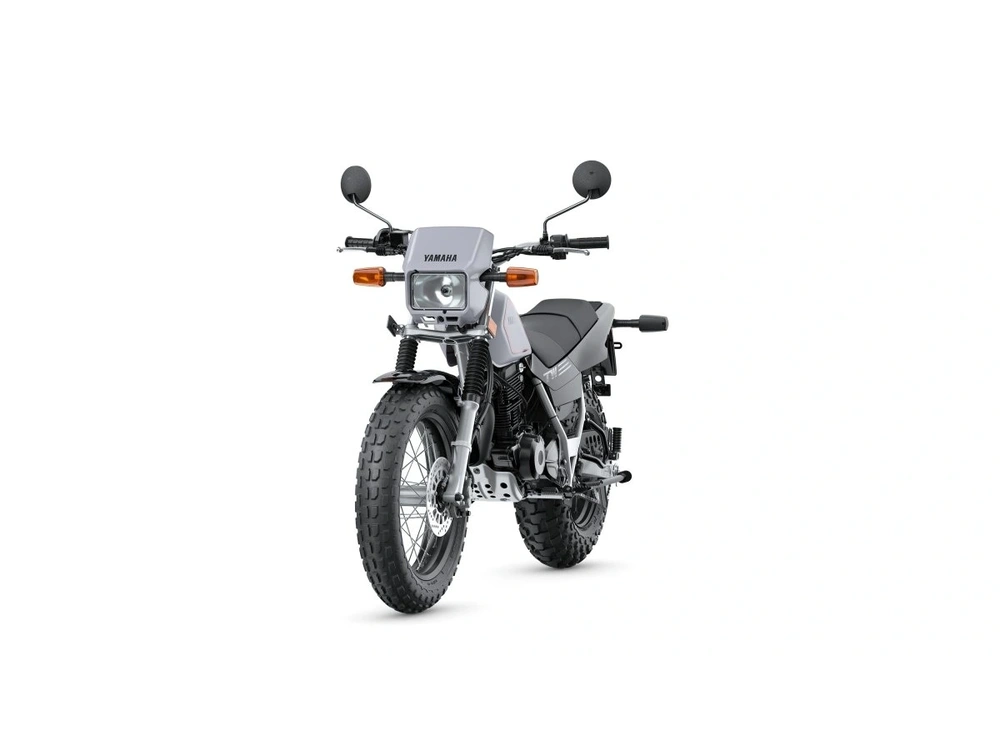 2026 Yamaha TW200 TW200 Gallant Gray alt