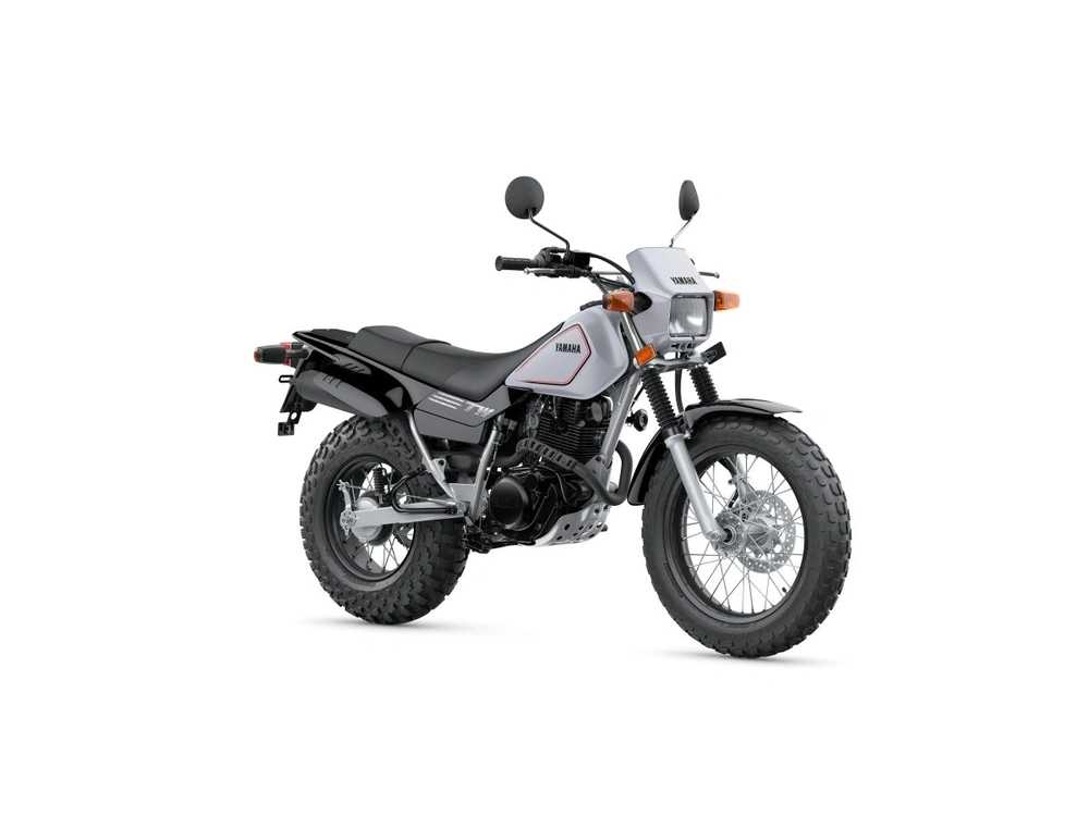 2026 Yamaha TW200 TW200 Gallant Gray alt