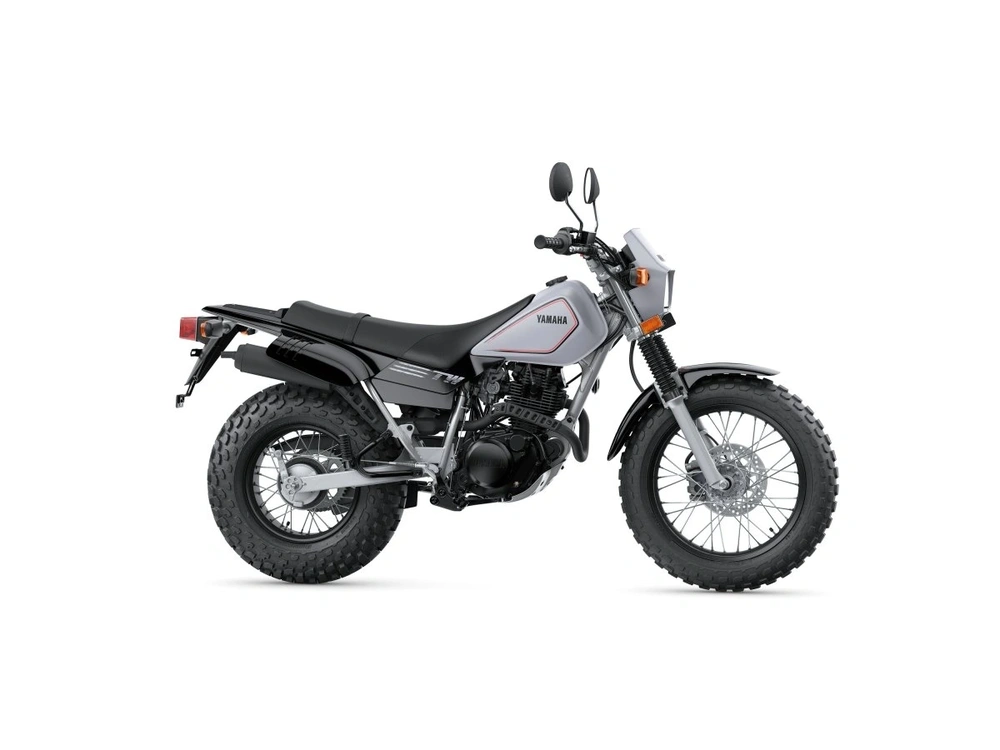 2026 Yamaha TW200 TW200 Gallant Gray alt