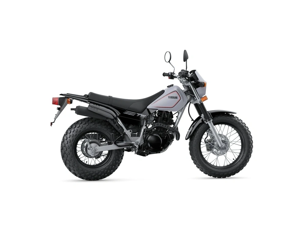2026 Yamaha TW200 TW200 Gallant Gray alt