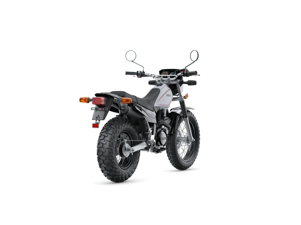 2026 Yamaha TW200 TW200 Gallant Gray alt