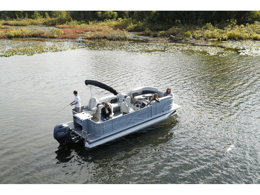 Sylvan 8522 Party Fish 8522 Party Fish 2026 alt