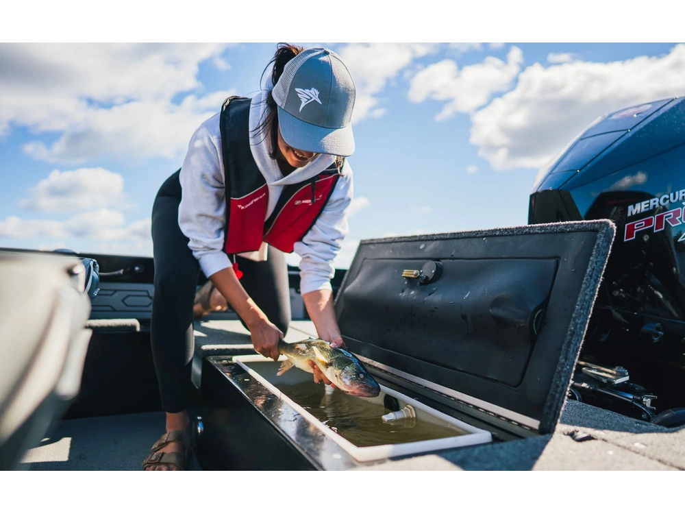 2026 Kingfisher 1925 Arrow Sport 1925 Arrow Sport alt