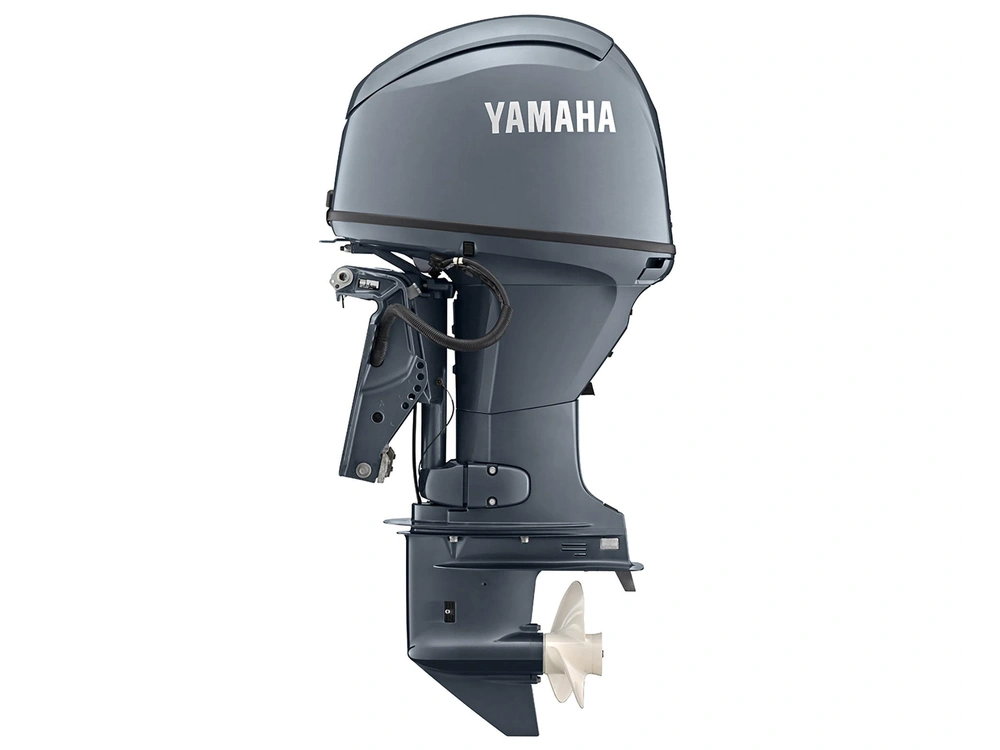 Yamaha F50C F50C Gris traditionnel 2026 alt