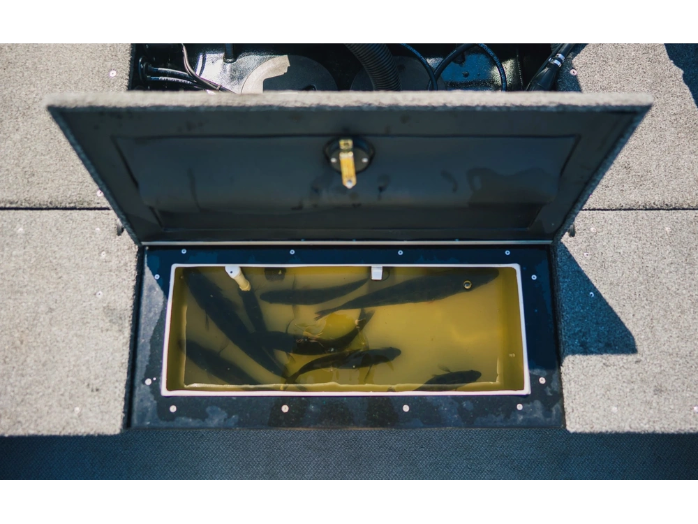 2026 Kingfisher 1925 Arrow Sport 1925 Arrow Sport alt