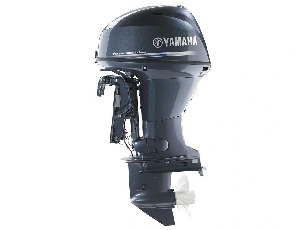 Yamaha F30 F30 Gris traditionnel 2026 alt