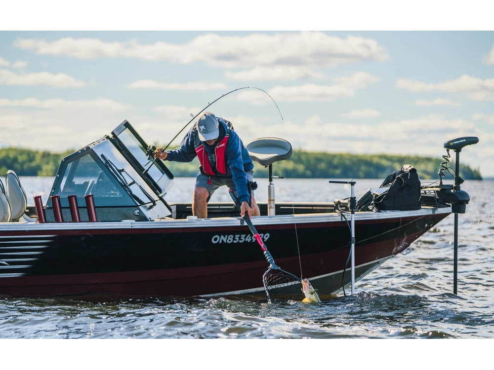 2026 Kingfisher 1925 Arrow Sport 1925 Arrow Sport alt