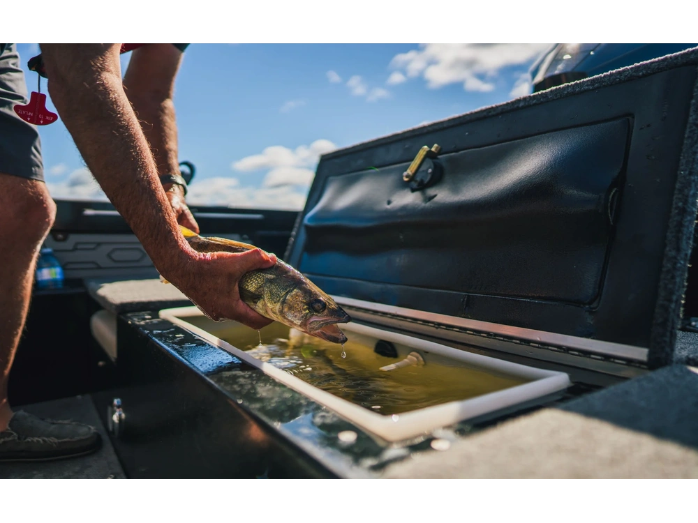 2026 Kingfisher 1925 Arrow Sport 1925 Arrow Sport alt