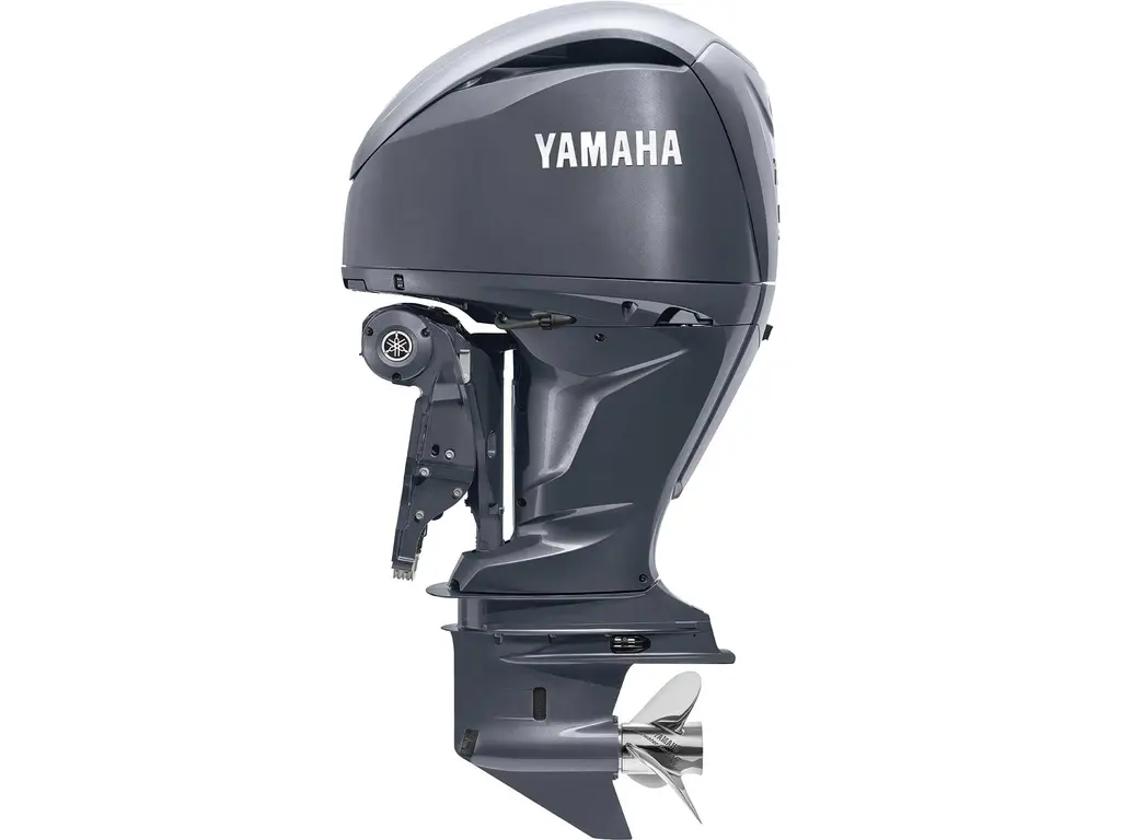 Yamaha F250 Gris 
