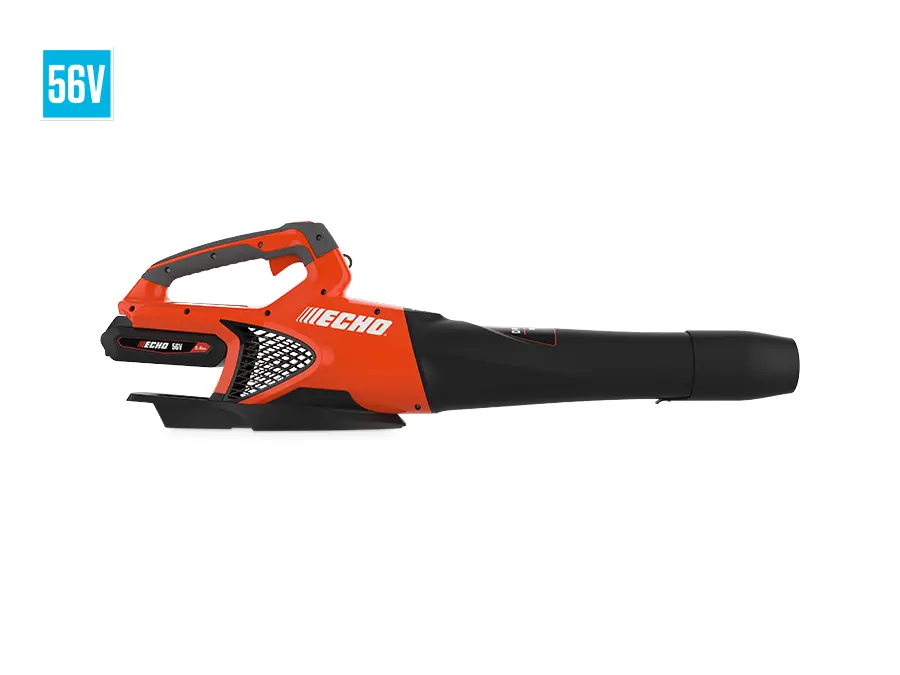 Echo DPB-2500C1 2026