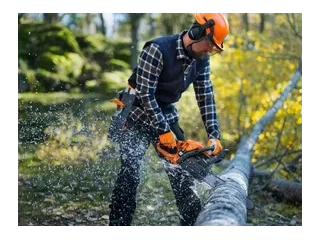 2026 Husqvarna 445S 445S alt