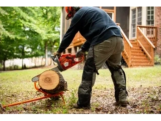 2026 Husqvarna 445S 445S alt