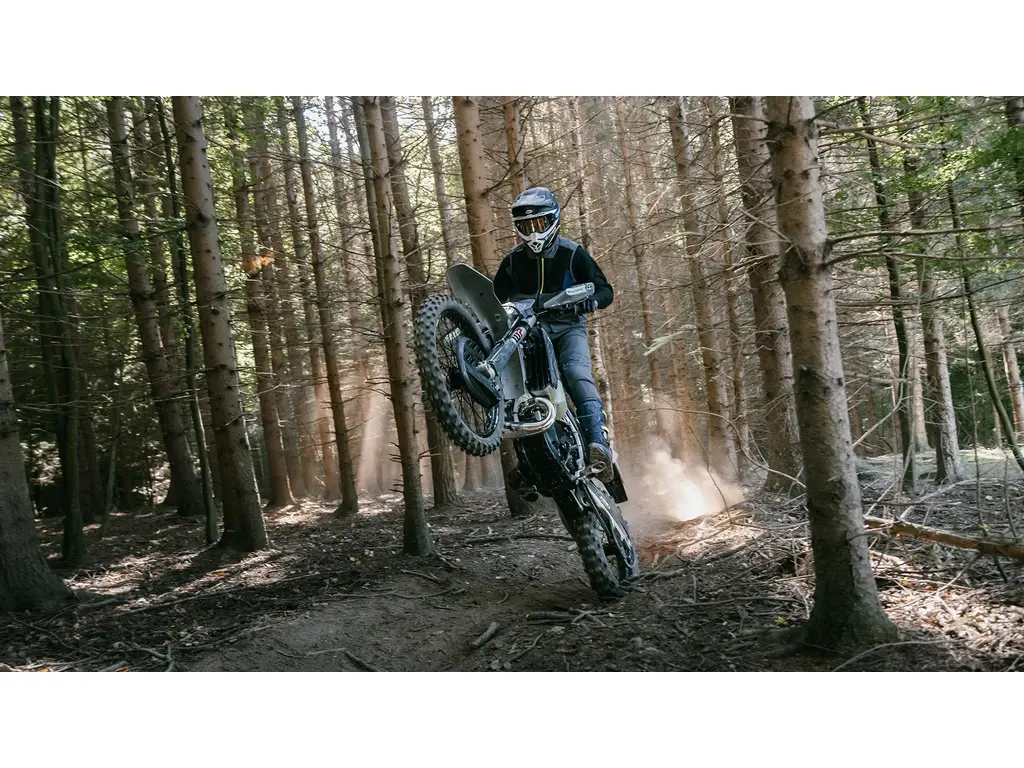 2026 Husqvarna TE 300 PRO 17049