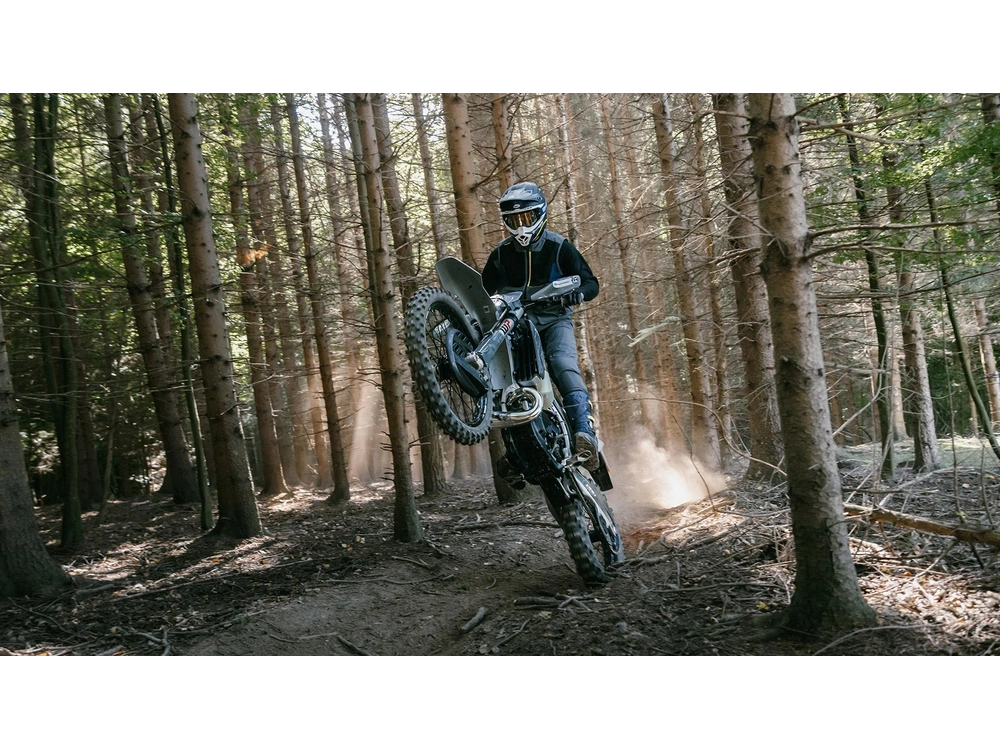 Husqvarna TE 300 PRO TE 300 PRO 17049 2026 alt