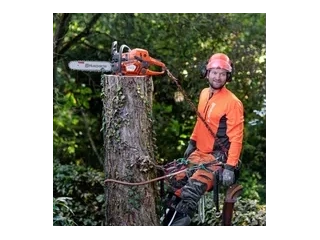 2026 Husqvarna 545 Mark II 545 Mark II alt