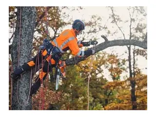Husqvarna T535i XP® 2026