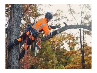 2026 Husqvarna T535i XP® T535i XP® alt