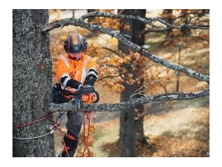2026 Husqvarna T435 T435 alt