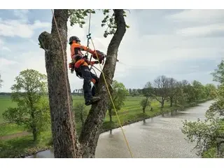 Husqvarna T540 XP® Mark III 2026