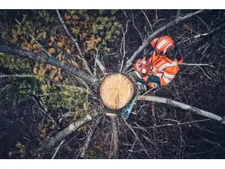 Husqvarna 562 XP® Mark II 2026