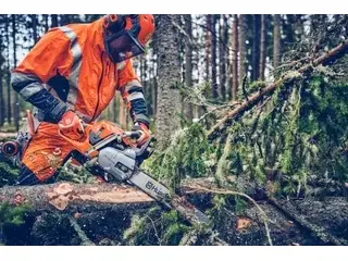 2026 Husqvarna 562 XP® Mark II