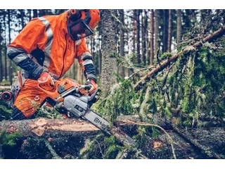 Husqvarna 562 XP® Mark II 562 XP® Mark II 2026 alt