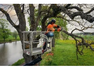 Husqvarna 540 XP® Mark III 540 XP® Mark III 2026 alt