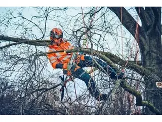 Husqvarna T542i XP® G (outil seulement) 2026