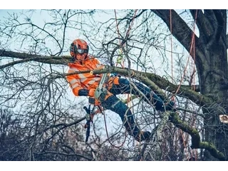 Husqvarna T542i XP® G (outil seulement) T542i XP® G (outil seulement) 2026 alt