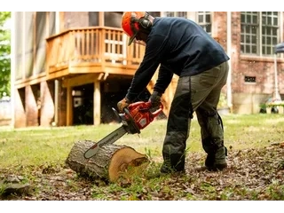2026 Husqvarna 445S 445S alt