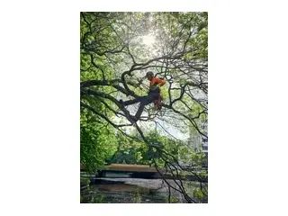 Husqvarna Climbing harness 2026