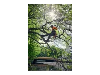Husqvarna Climbing harness Climbing harness 2026 alt