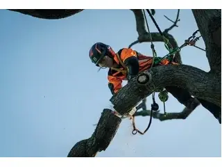 Husqvarna T540i XPMD avec batterie et chargeur 2026