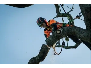 Husqvarna T540i XPMD avec batterie et chargeur T540i XPMD avec batterie et chargeur 2026 alt