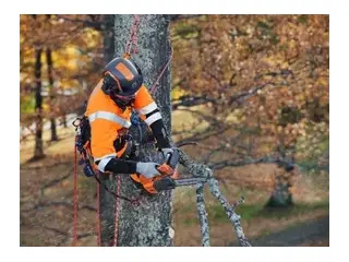 Husqvarna T525 2026