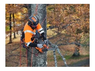 Husqvarna T525 T525 2026 alt