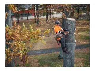 2026 Husqvarna 550i XP® G (tool only)
