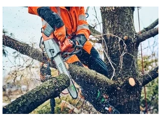 2026 Husqvarna T542i XP® (battery and charger included) T542i XP® (battery and charger included) alt