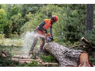 Husqvarna 550 XP® Mark II 550 XP® Mark II 2026 alt