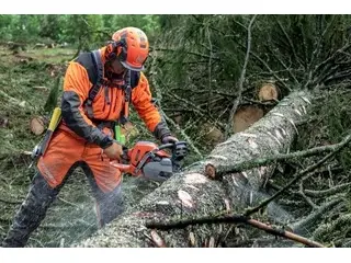 Husqvarna 550 XP® Mark II 2026