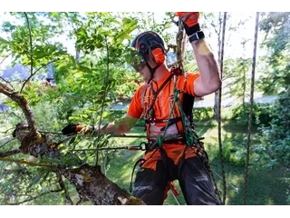 2026 Husqvarna T535i XP® T535i XP® alt