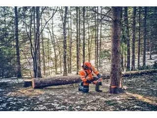 Husqvarna 562 XP® Mark II 2026