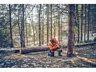 2026 Husqvarna 562 XP® Mark II 562 XP® Mark II alt