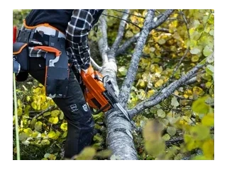 2026 Husqvarna 445S 445S alt