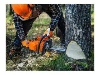 Husqvarna 445S 2026